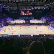 The Netball World Cup 2019 Experience